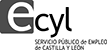 Servicio publico de empleo Castilla y León